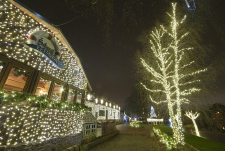 vanocni-dekorace - seberak